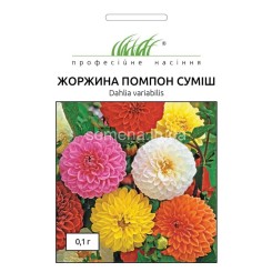 Насіння жоржини Помпон суміш 0,2 гр.
