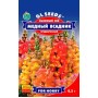 Семена львиного зева Медный всадник среднерослый смесь 0,2 гр.