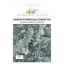 Семена цинерария Серебряная пыль 0,1 гр.
