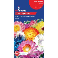 Семена цветочная смесь Застывшая музыка сухоцветы 0,5 гр.