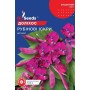 Семена долихоса Рубиновые искры 5 шт.